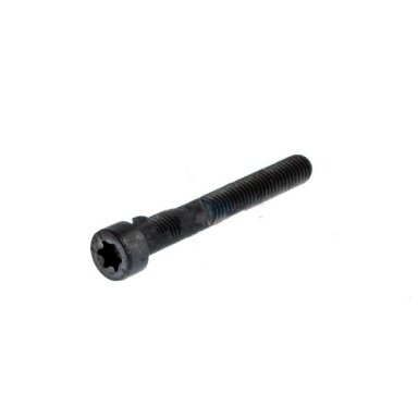 Varžtas Torx M 5 X 40 12.9 Varžtas Torx M 5 X 40 12.9